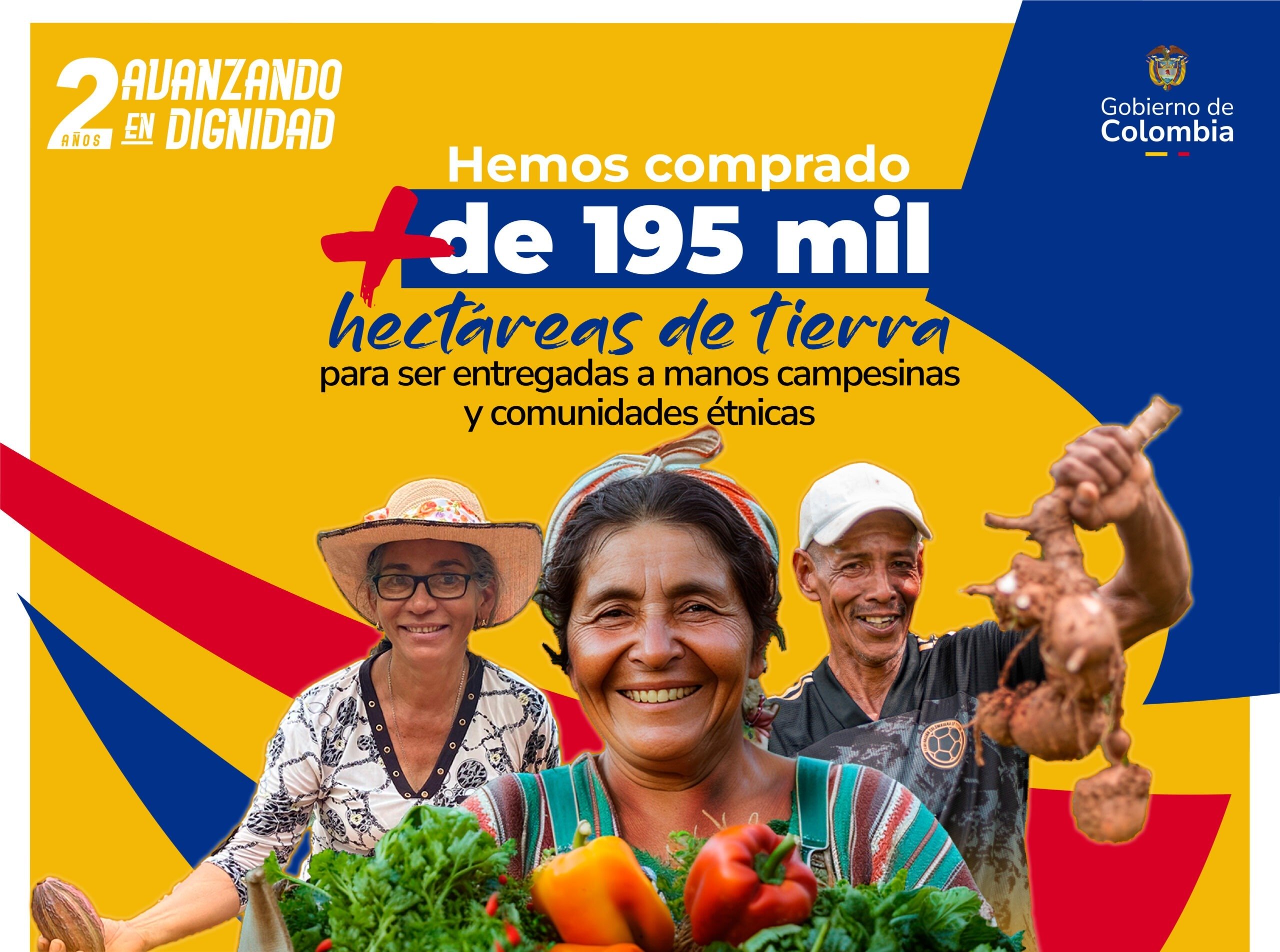 Descripción de la imagen